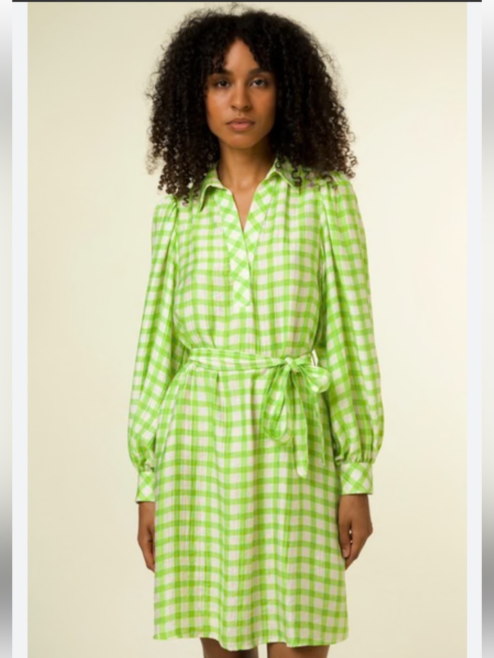 NWT Frnch Paris Gingham Shirt Dress Size XS